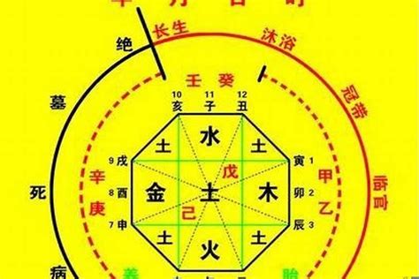 天羅地網八字|「天羅地網」是甚麼？我的八字神煞命中天羅地網嗎？